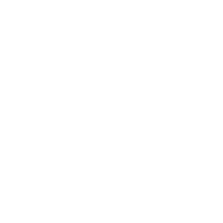 5728881's emblem
