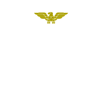 YoZiG_B_BoTSvaHe's emblem