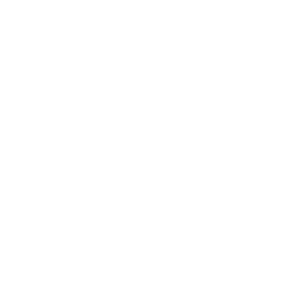 vMarvelouz's emblem