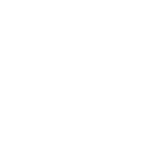 JoePonzi's emblem