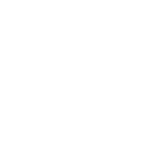 TavinZik's emblem