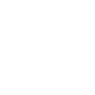 XiBomB's emblem