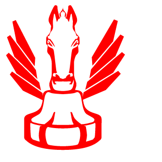 eminreis44's emblem