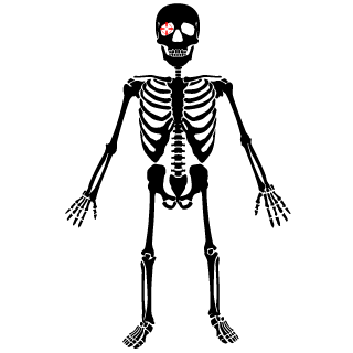 schulerm's emblem