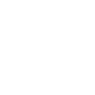 Pyro1x7's emblem