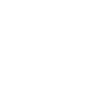CyberTronPC's emblem
