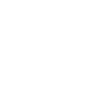 TheLordOfSky321's emblem