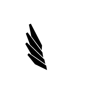 Not_roniNNN's emblem