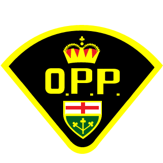 Lesiunta's emblem