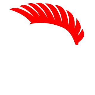 invz8's emblem