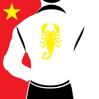 xVa1s's emblem