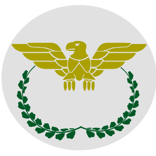 HTexans321's emblem