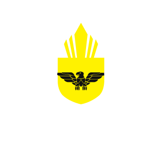 Patrickelric22's emblem