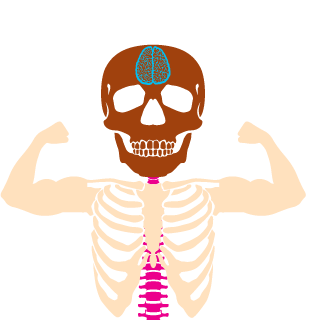 ReticulatusSnake's emblem