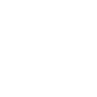 TheBeaverSlapper's emblem