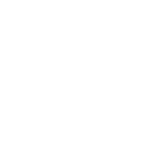 147-GTI's emblem