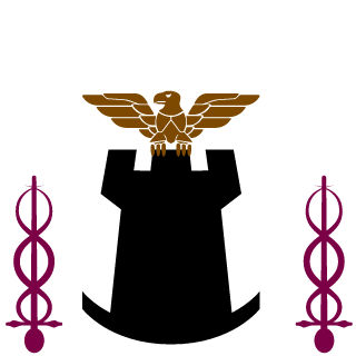 6QUbAX9's emblem