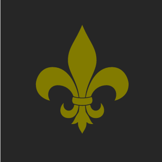 HeroicGo's emblem