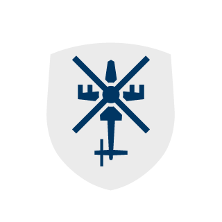 kianakaslanar's emblem