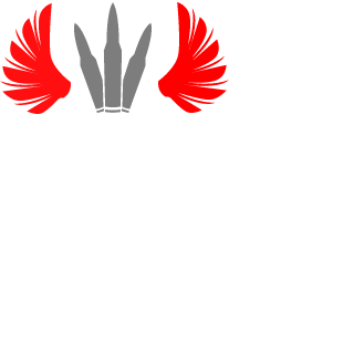 Comander1983's emblem