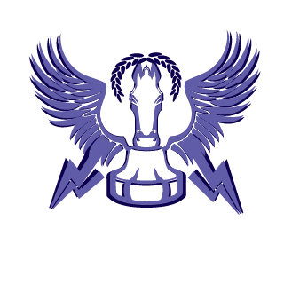 Dismal_ZA's emblem