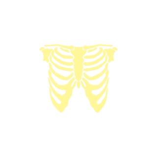Lisiczki's emblem