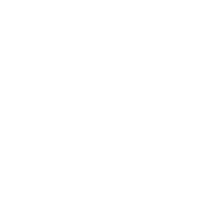 NKL2K2's emblem