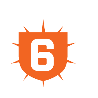 ShinyIIV's emblem