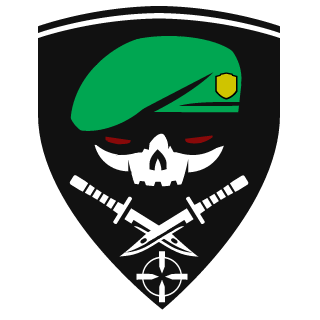 RyanKiller96's emblem