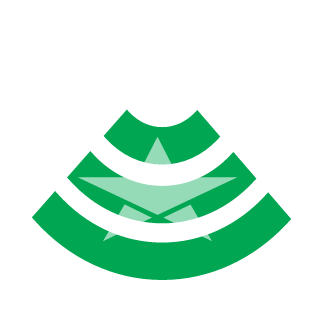 NVIKING's emblem