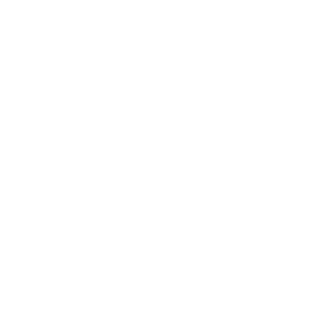 SCHizoHK's emblem
