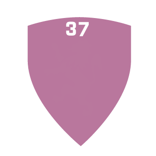 MeGusta37PL's emblem