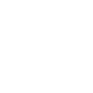 Bino1111's emblem