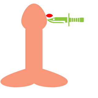 LYP-Gemini's emblem