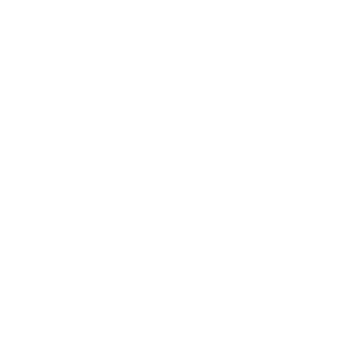 93model's emblem