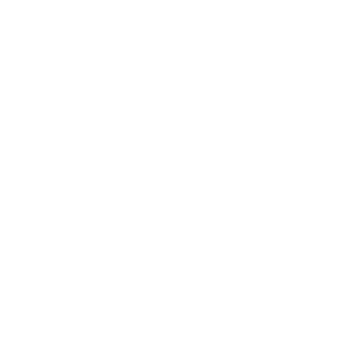 TwitchSalamizone's emblem