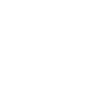 RESI91CZ's emblem
