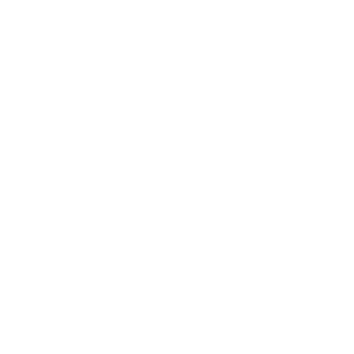 999895's emblem