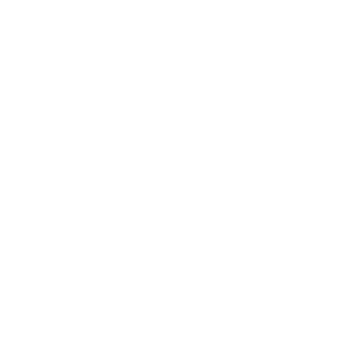 Anisian's emblem