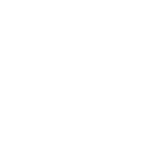 Kongfigure's emblem