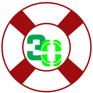 30vasi's emblem
