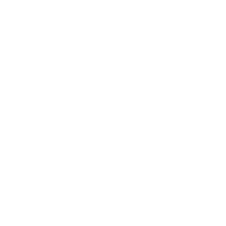 Brp77's emblem