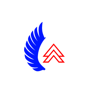 CzechAirborne's emblem