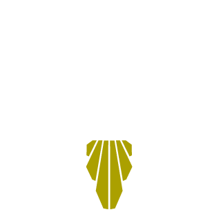 AryzenRS's emblem