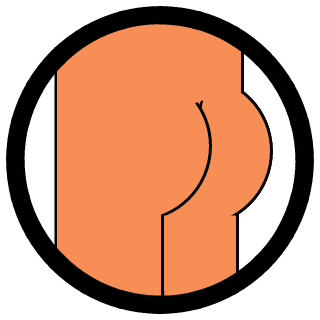 roboparty's emblem