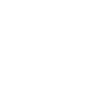 ZztaiR's emblem