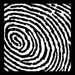 RFW FOUR's emblem
