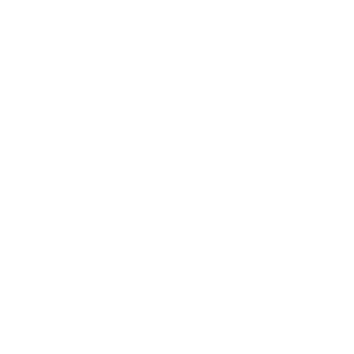VeRiTuL's emblem
