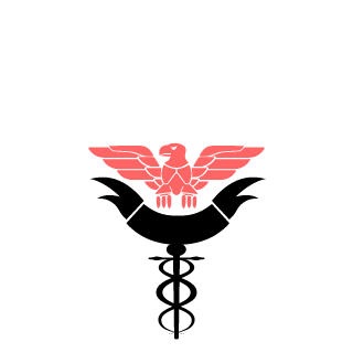 liweihang110011's emblem