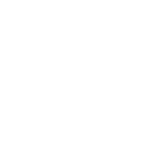 Flo-Boy09's emblem
